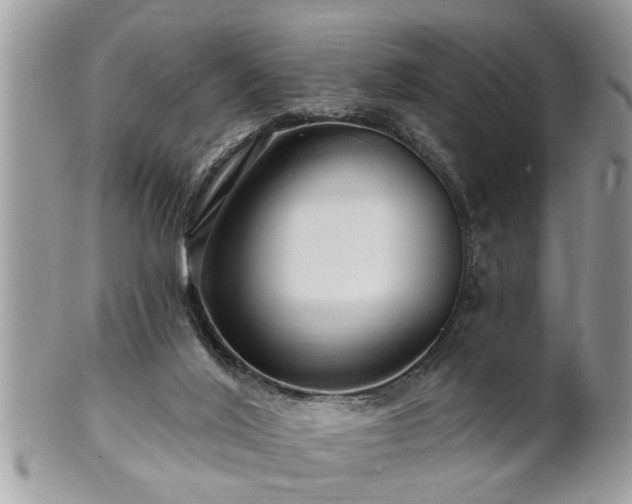 X0000100970020200807011431