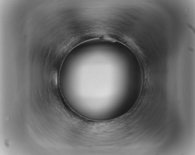 X0000100970021200807011431