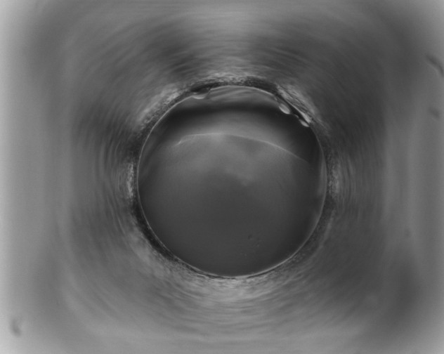 X0000100970023200807011431
