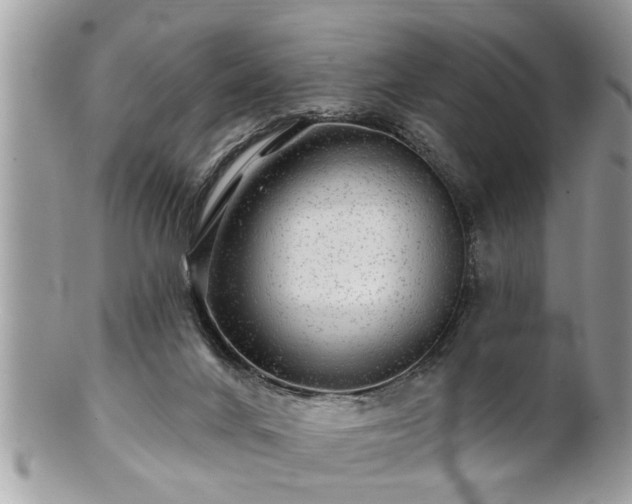 X0000100970024200807011430
