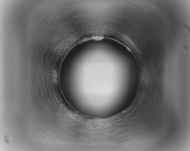 X0000100970025200807011430