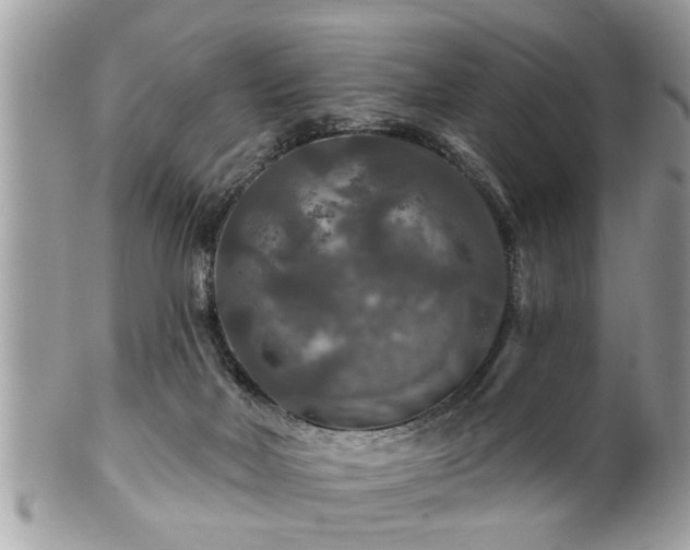 X0000100970026200807011430