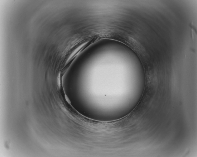 X0000100970028200807011430
