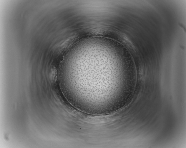 X0000100970029200807011430
