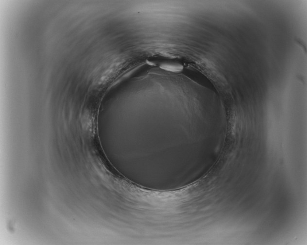 X0000100970031200807011430