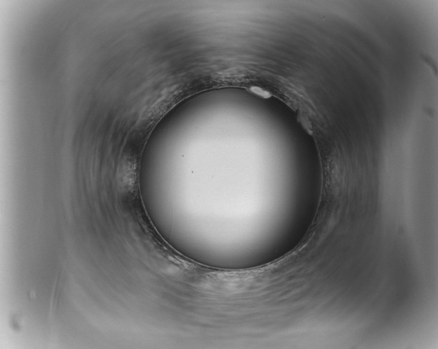 X0000100970033200807011430