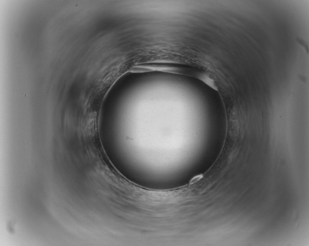 X0000100970034200807011430