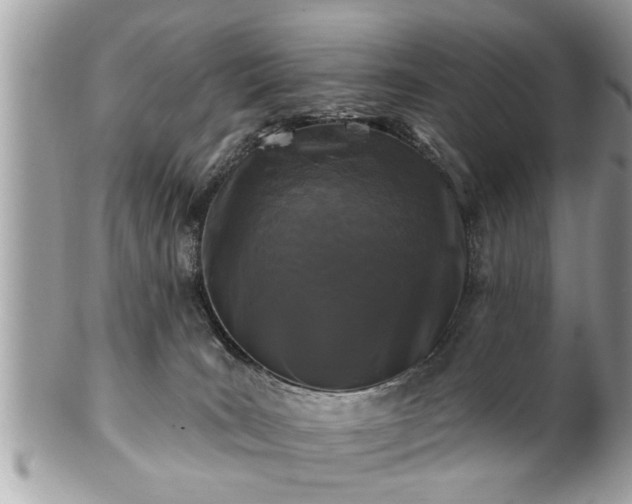 X0000100970035200807011430
