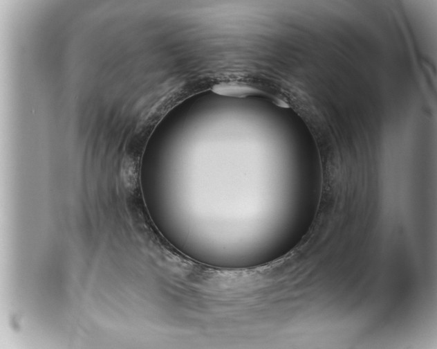 X0000100970037200807011430