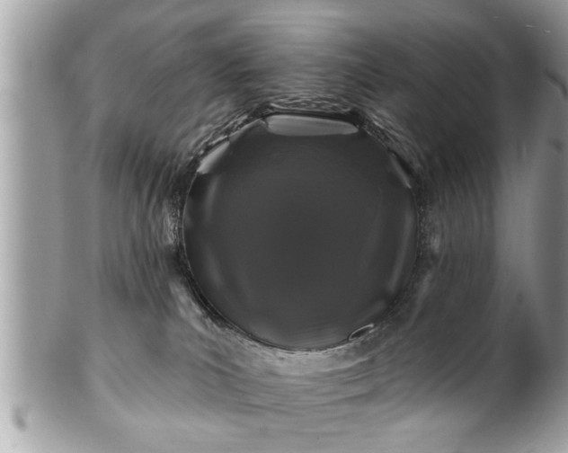 X0000100970039200807011430