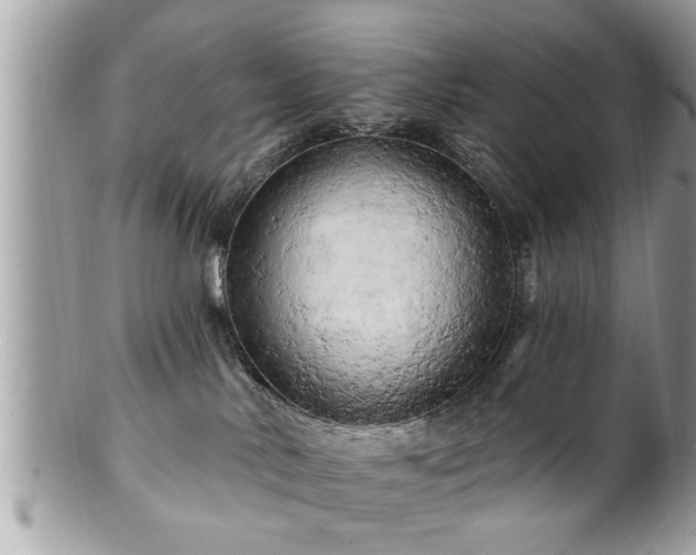 X0000100970042200807011430