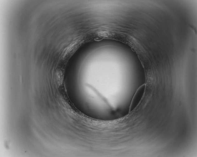 X0000100970043200807011430