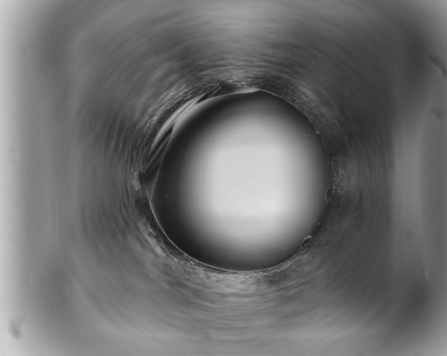 X0000100970044200807011430