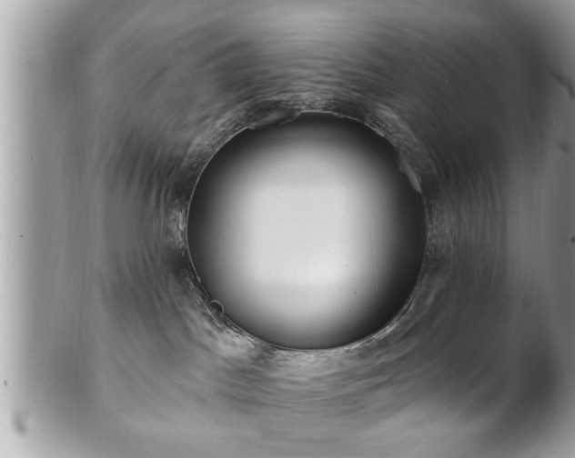 X0000100970045200807011430