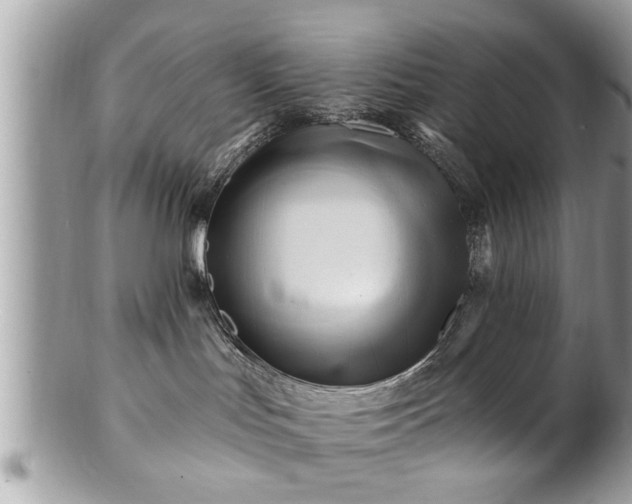 X0000100970047200807011430