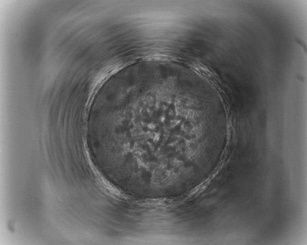 X0000100970049200807011429