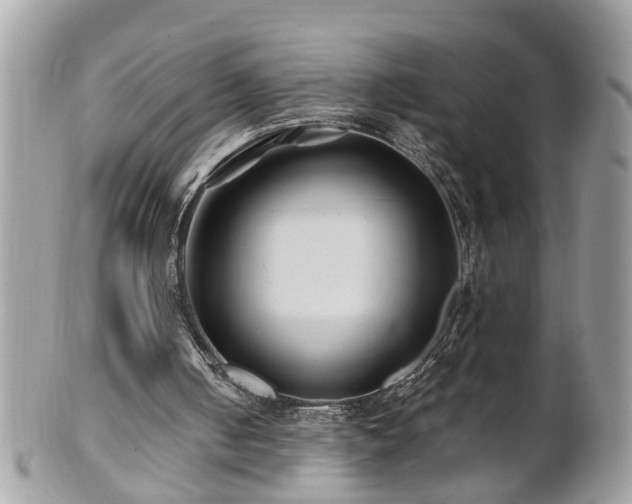 X0000100970050200807011429