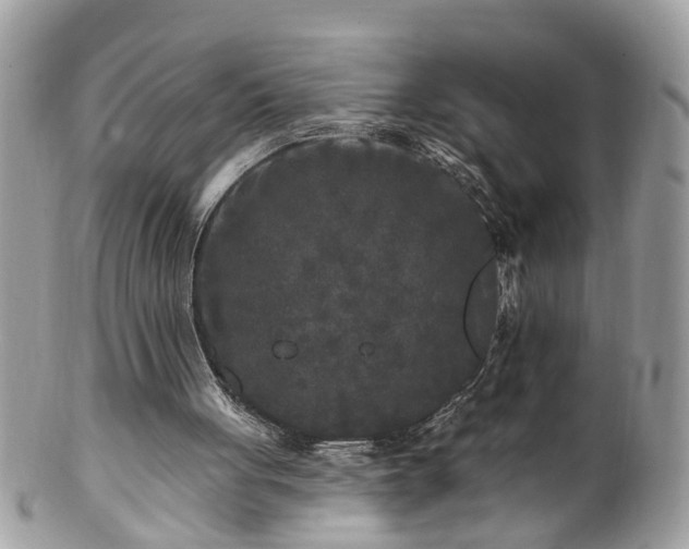 X0000100970051200807011429