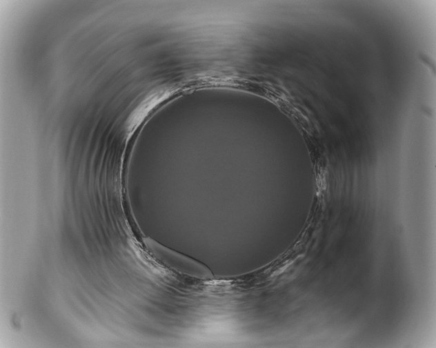 X0000100970052200807011429