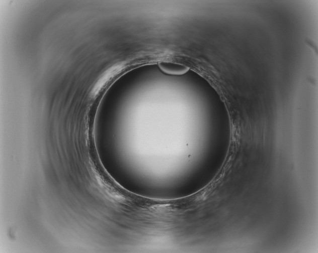 X0000100970054200807011429