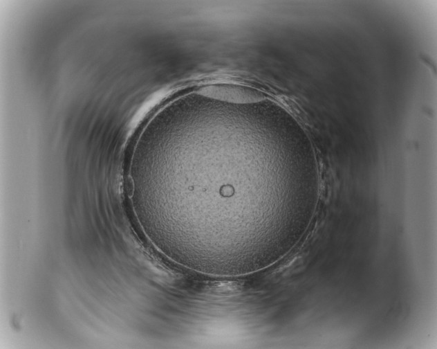 X0000100970056200807011430