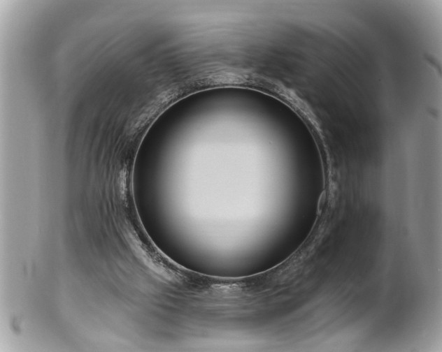 X0000100970057200807011430