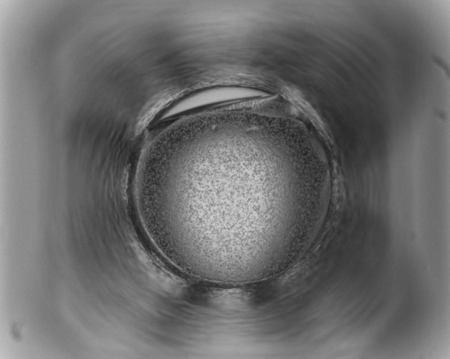 X0000100970058200807011430