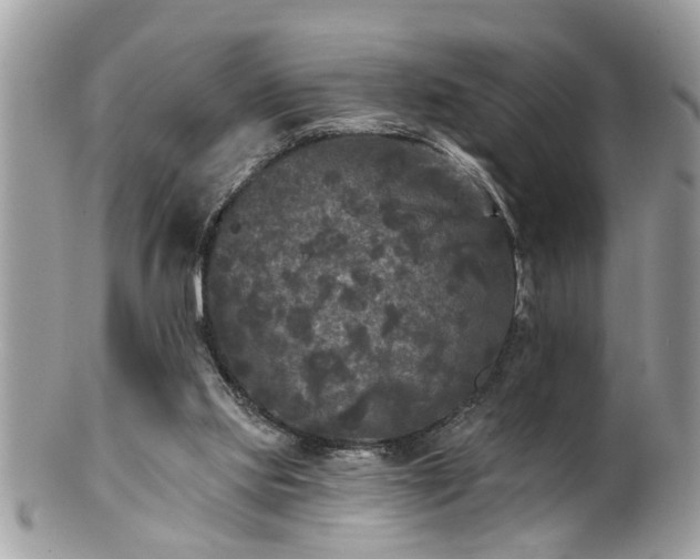 X0000100970061200807011430