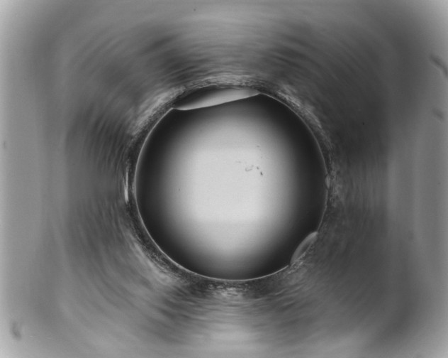 X0000100970062200807011430