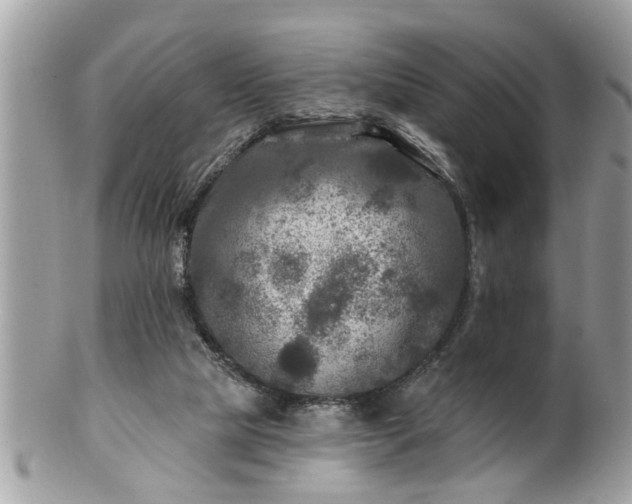 X0000100970065200807011430