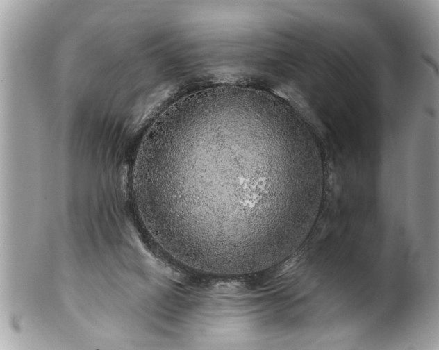 X0000100970066200807011430