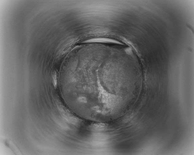 X0000100970069200807011430