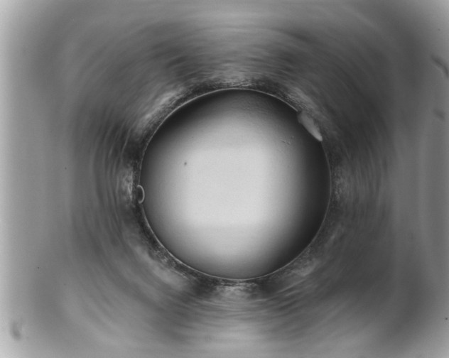 X0000100970072200807011430