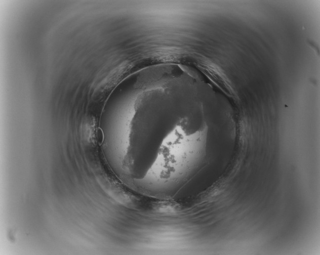 X0000100970073200807011430