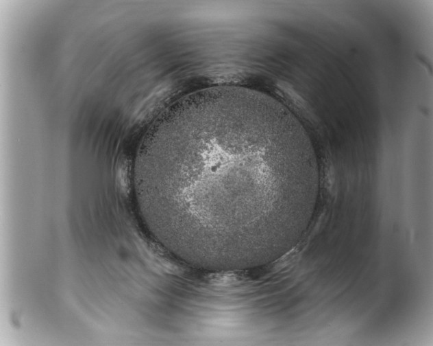 X0000100970074200807011430