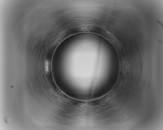 X0000100970075200807011430