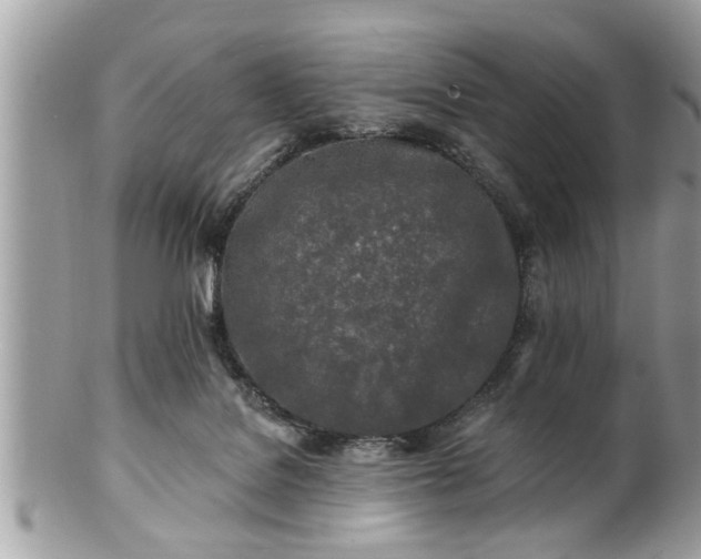 X0000100970076200807011430