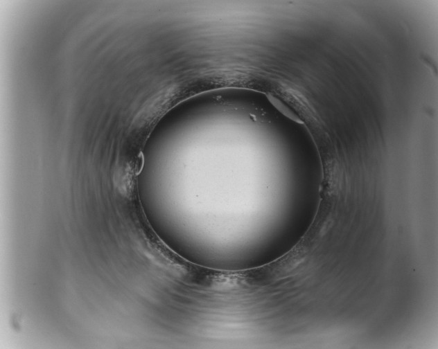 X0000100970077200807011430