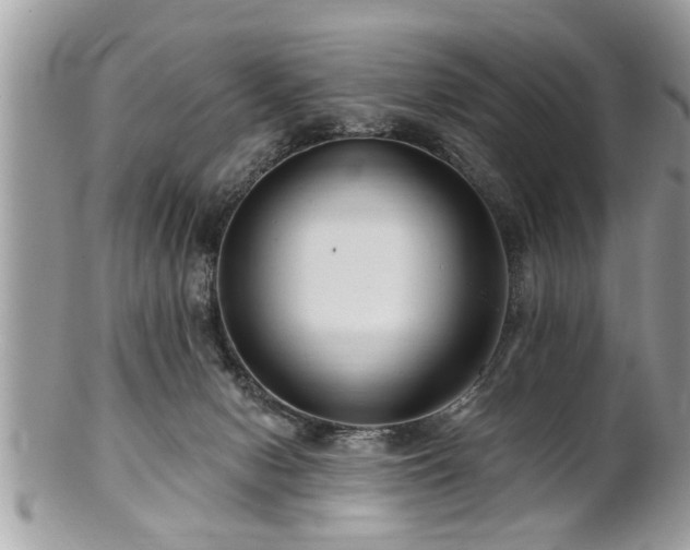 X0000100970078200807011430