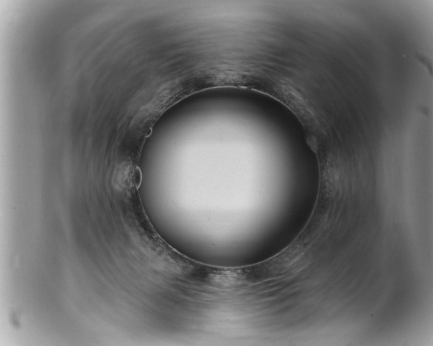 X0000100970079200807011430