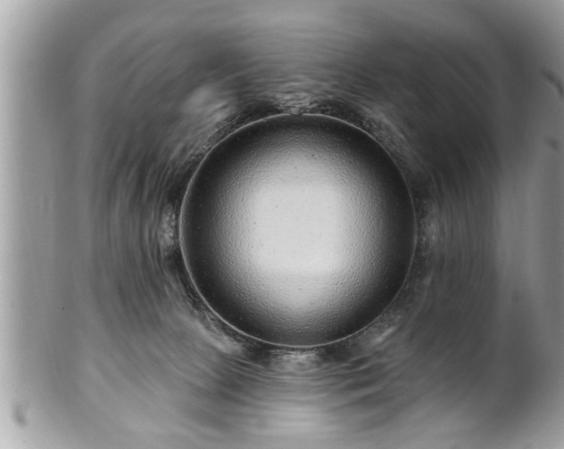 X0000100970081200807011430