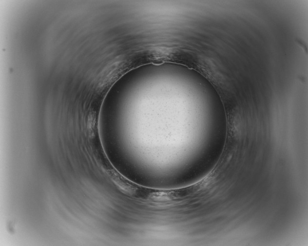 X0000100970082200807011430