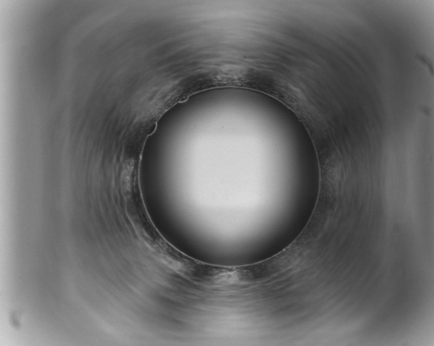 X0000100970083200807011430