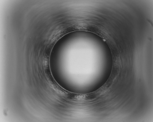 X0000100970084200807011430