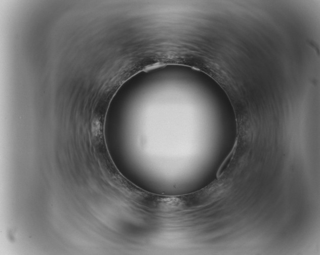 X0000100970087200807011430