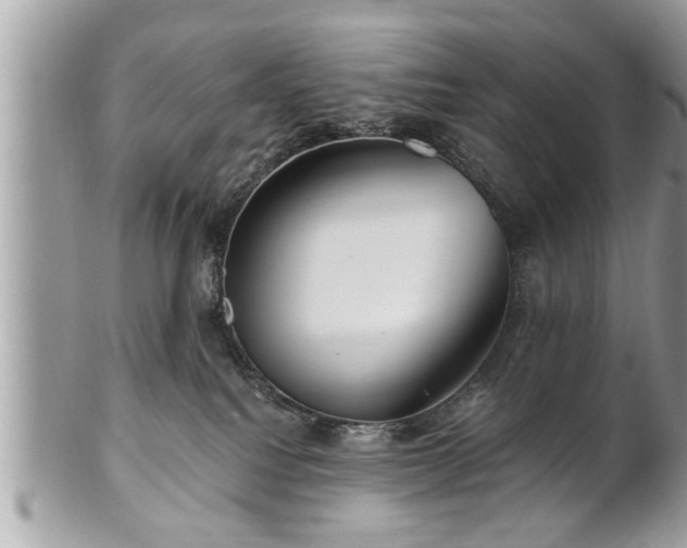 X0000100970088200807011430