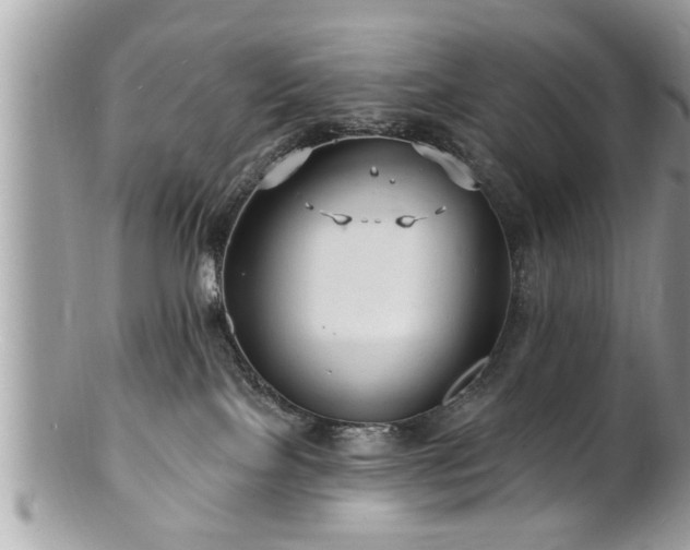 X0000100970089200807011430