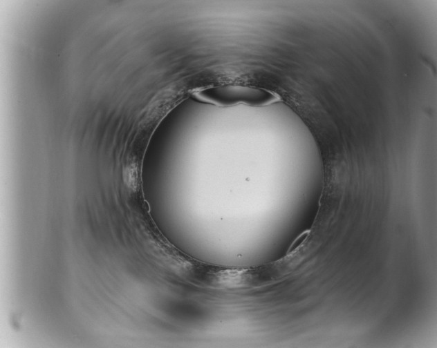 X0000100970090200807011430