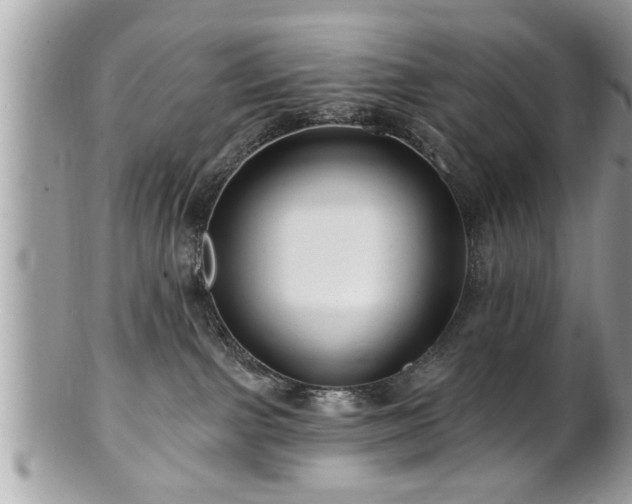 X0000100970091200807011430