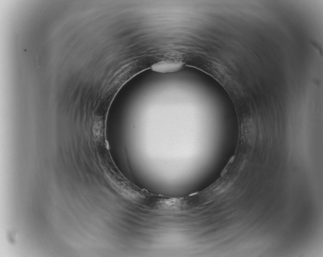 X0000100970092200807011430